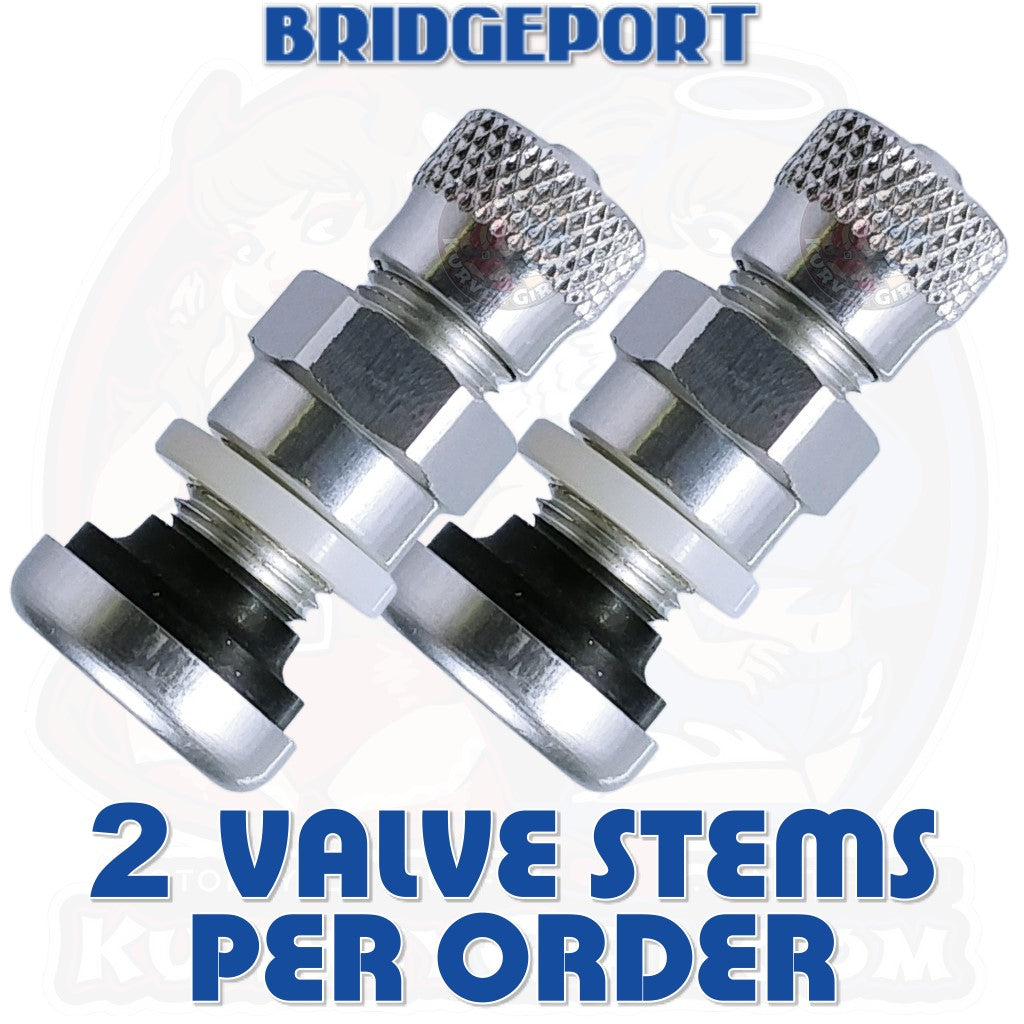Bridgeport Valve Stem Straight Aluminum 8.3 mm Silver 2 Pack Side
