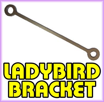 2021 Category Ladybird Button