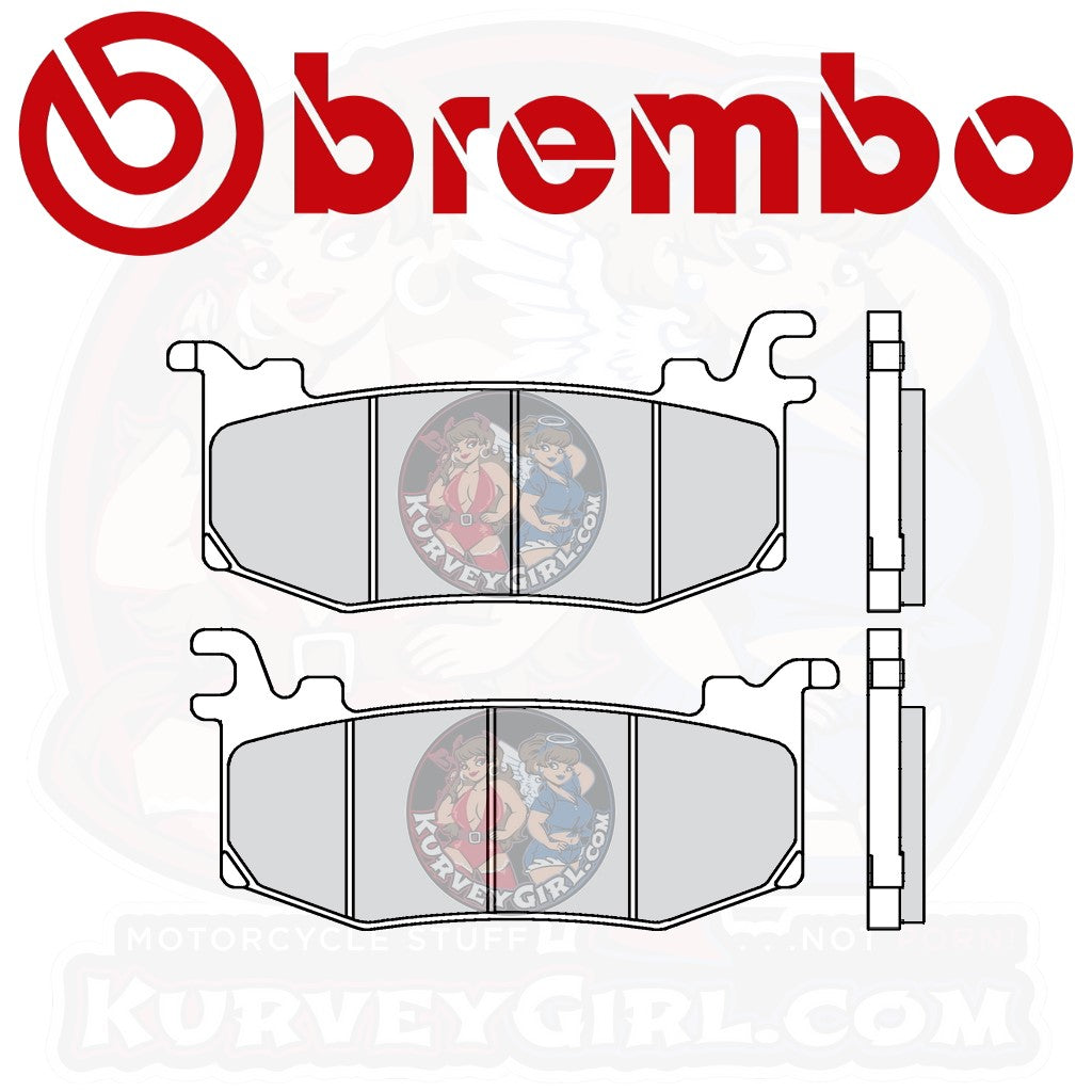 Brembo Z04 Brake Pads: 107A48616 / M588Z04 – KurveyGirl
