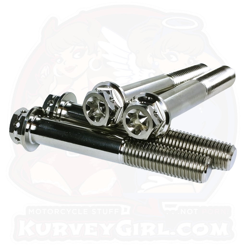 Titanium Caliper Bolt Screw Double Drive