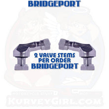 Load image into Gallery viewer, 83deg Aluminum 8.3mm Racing Angled Valve Stems - Silver (2 pcs)
