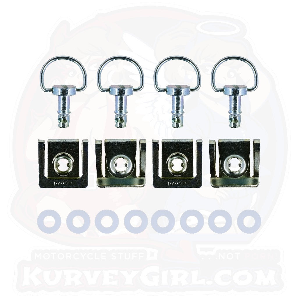 4pc: Ducati 749 and 999, Dzus Classic (D3), D-Ring, Silver, WL=14mm