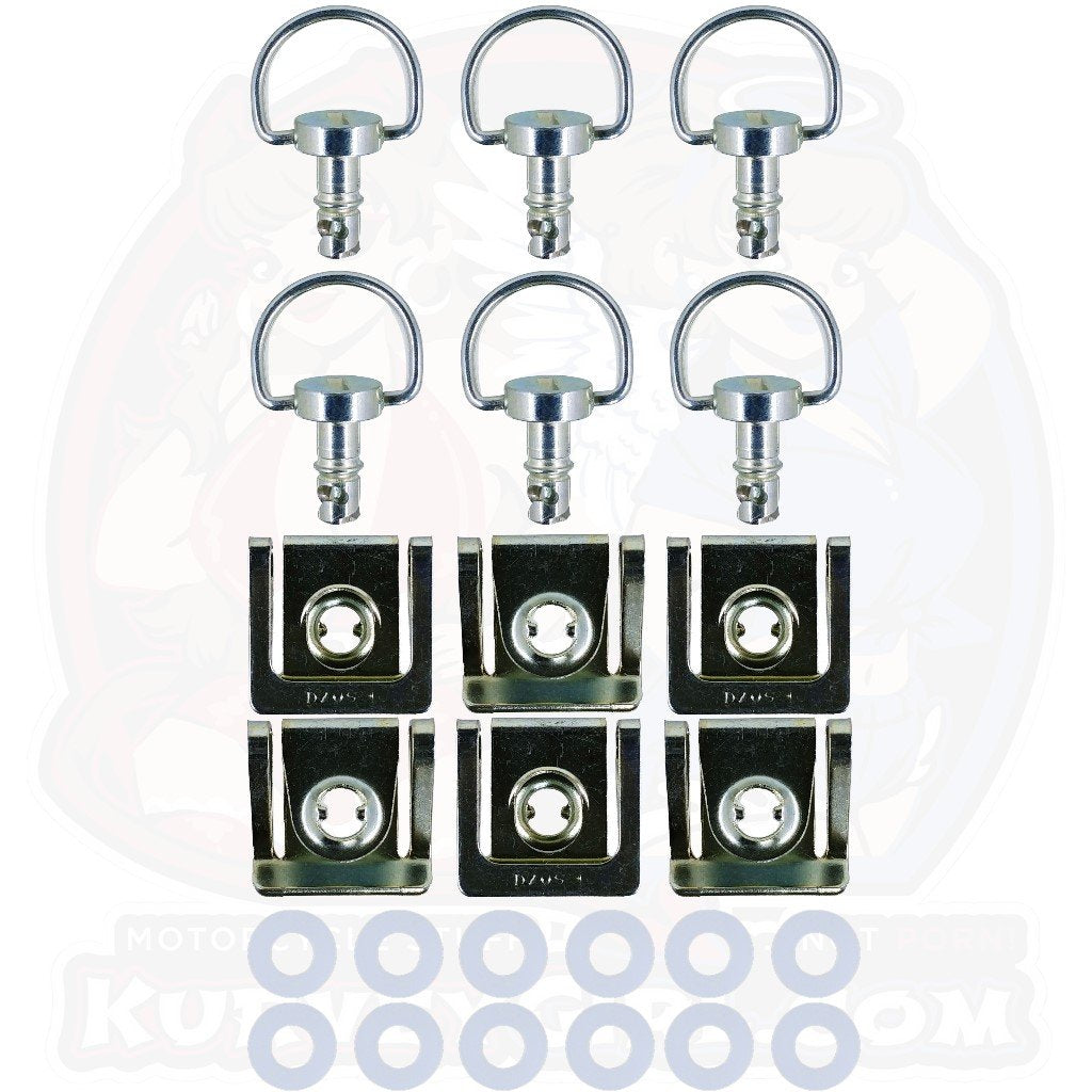 6pc: Ducati 748, 916, 996, 998, Dzus Classic (D3), D-Ring, Silver, WL=12mm