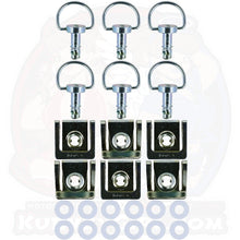 Load image into Gallery viewer, 6pc: Ducati 749 and 999, Dzus Classic (D3), D-Ring, Silver, WL=14mm
