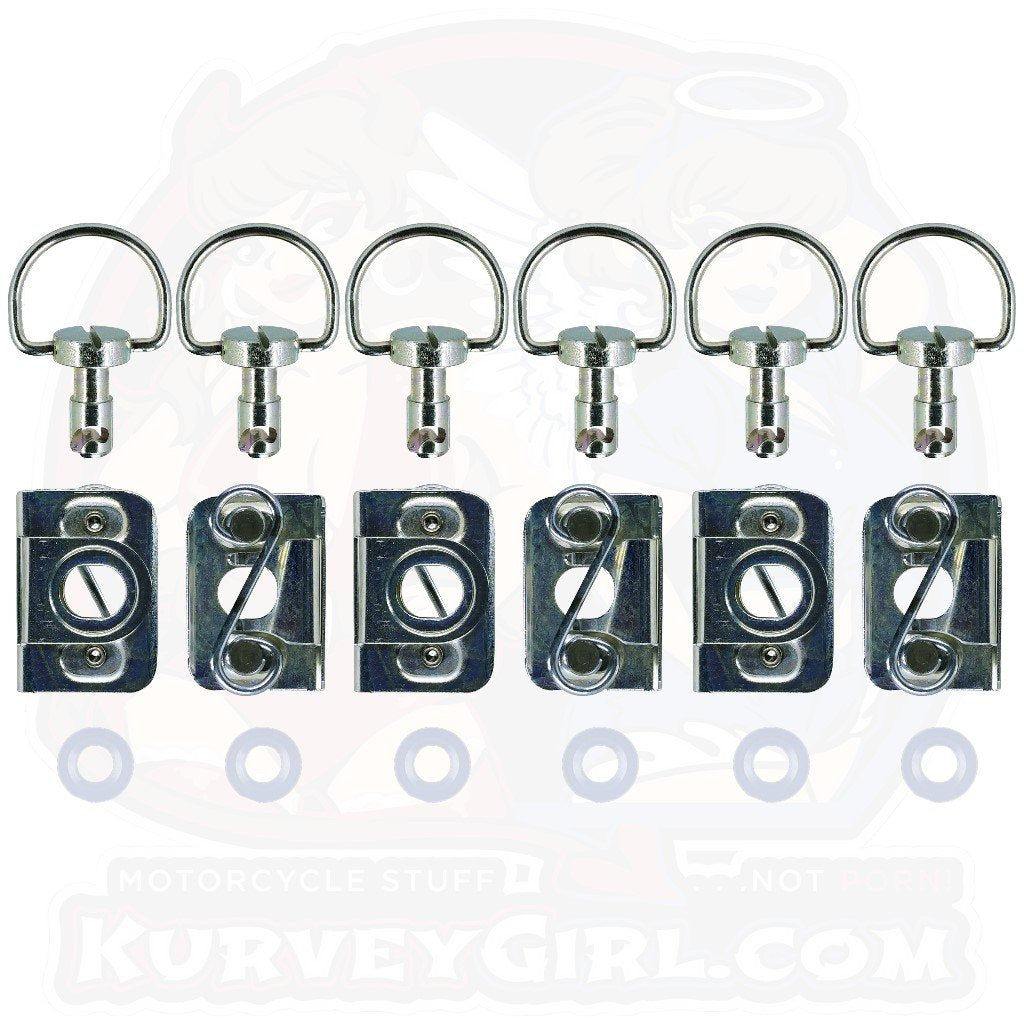 6pc: Fiberglass Bodywork, DZUS PRO (D4), D-Ring, S-Spring, Clip-On, Silver, (45)