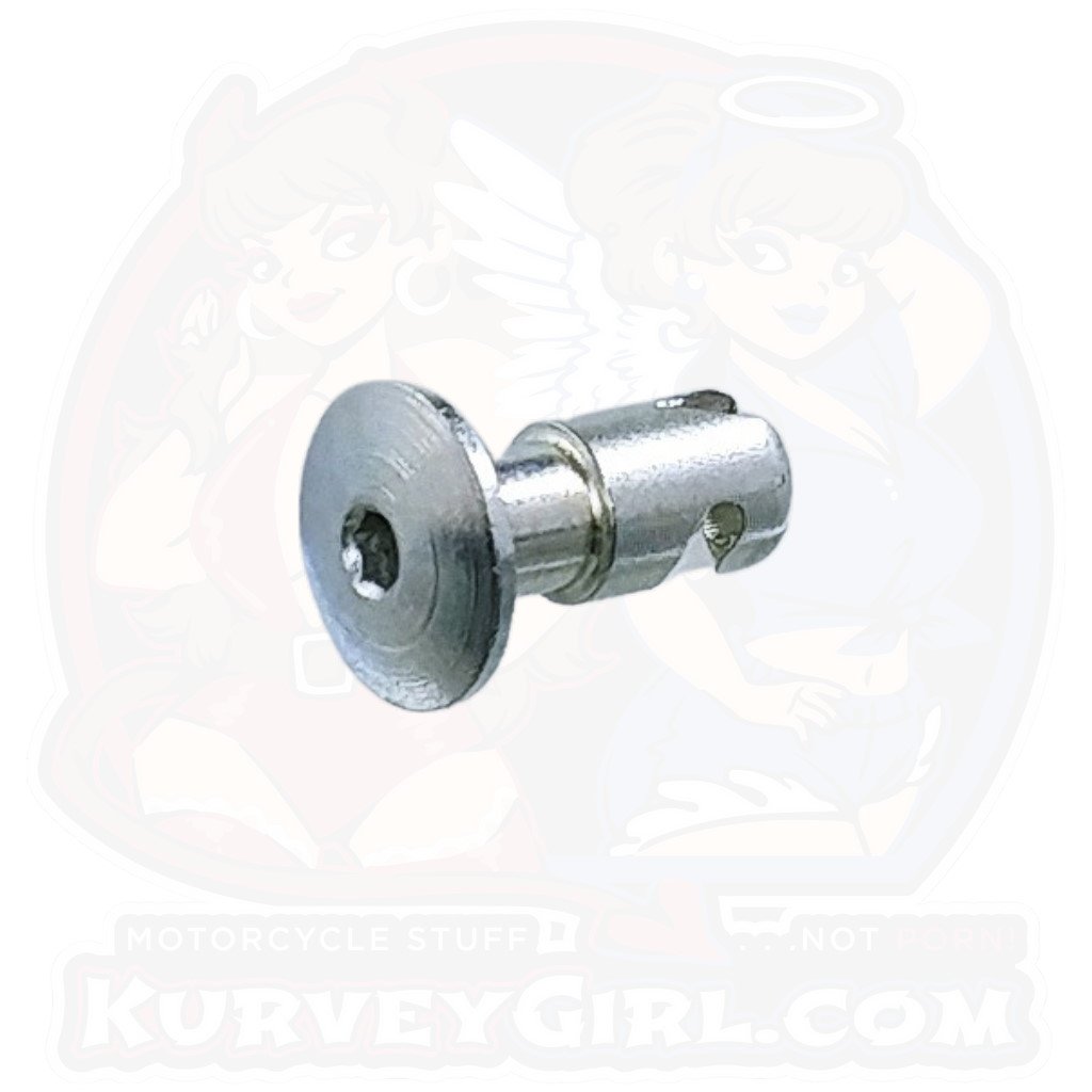 6pc: Fiberglass Bodywork, DZUS PRO (D4), Button Head, S-Spring, Clip-On, Silver, (45)