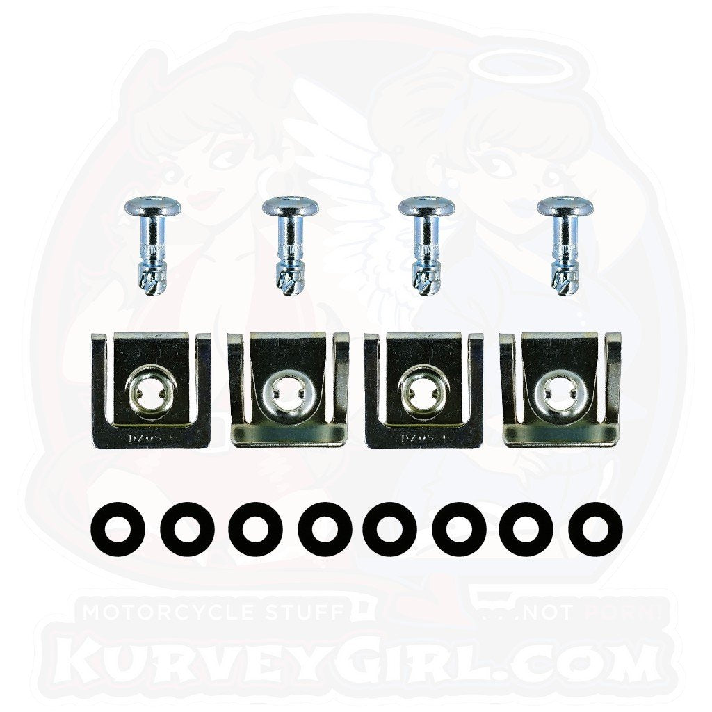 4pc: OEM Plastic Bodywork, DZUS (D8), Button Head, Clip-On, Silver, WL=14mm