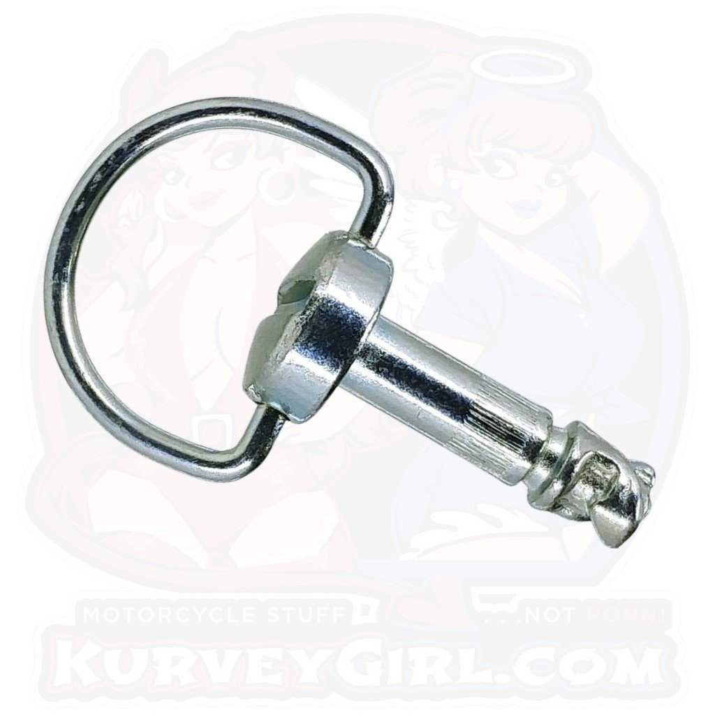 Special Length: 1pc, DZUS (D8), D-Ring, Silver, WL=18mm